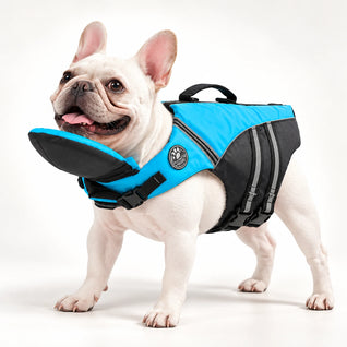 Farlique Hunde-Schwimmweste mit Kopfstütze