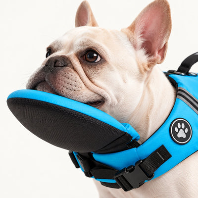 Chaleco salvavidas para perros Farlique con reposacabezas
